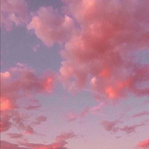 Meet your Posher, Maya